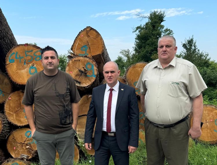 Slika /slike/Priopcenja/1720424697906 drvo.jpg